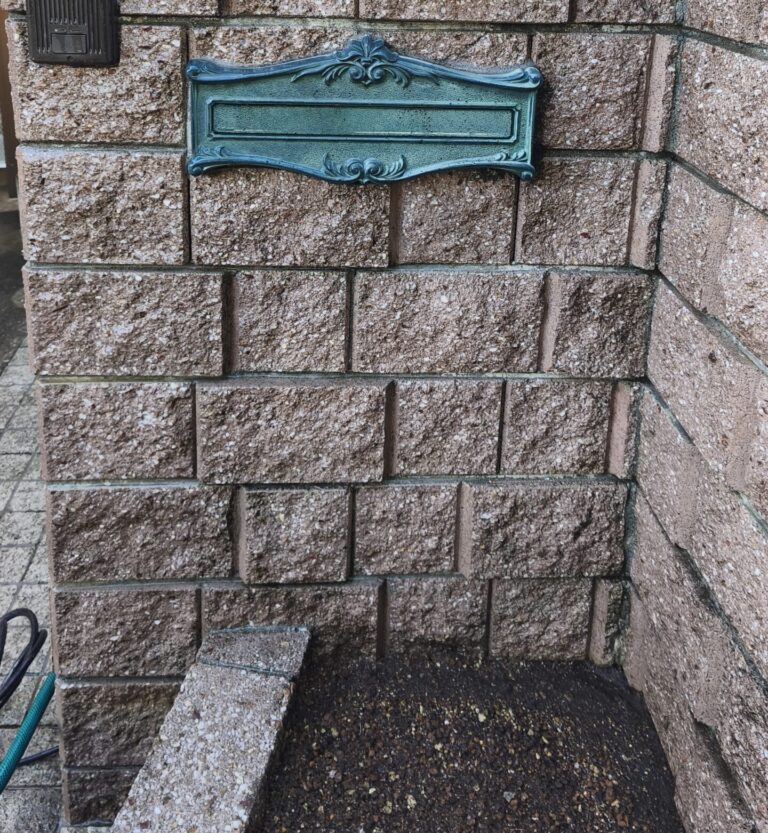 庭を高圧洗浄するならプロに頼むべき！その理由とは？