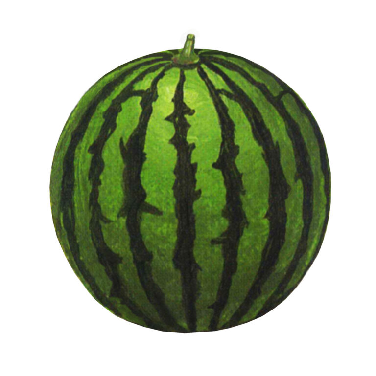 富里市のハウスクリーニングならすぎやま美工にお任せください