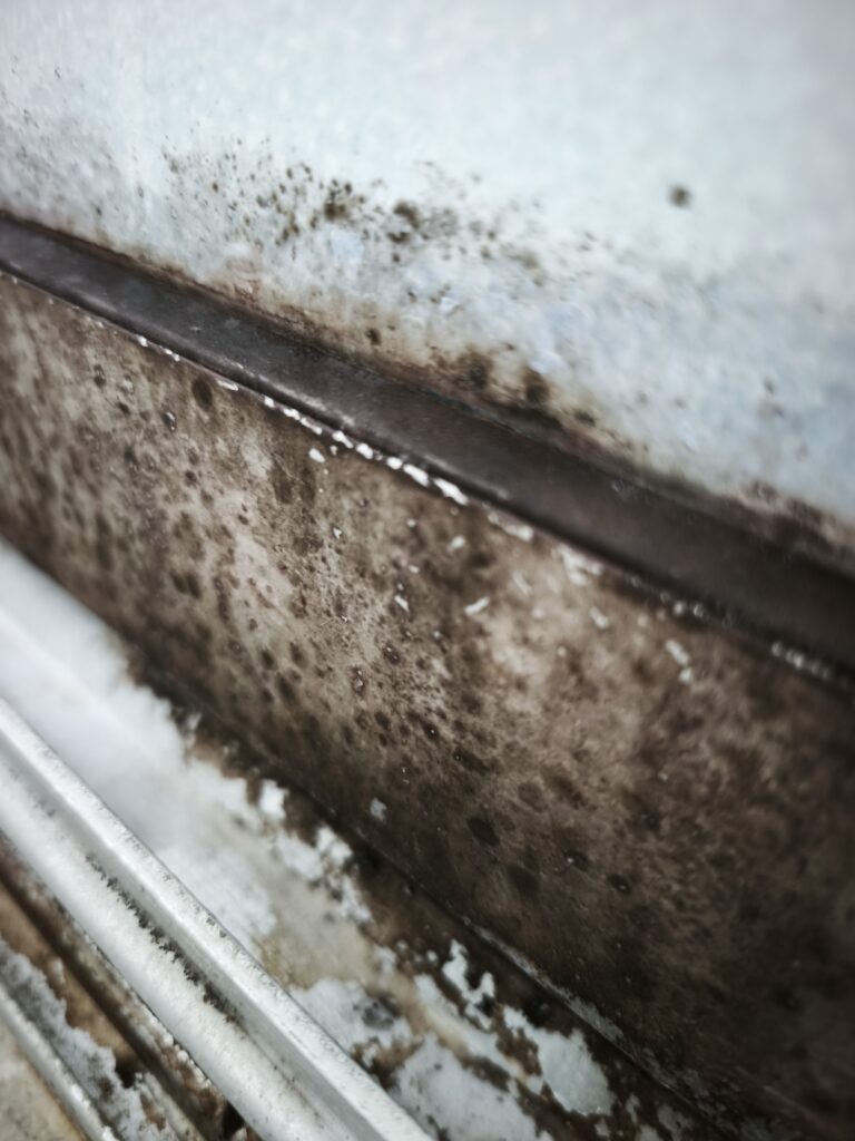 【施工事例】浴室扉のサッシ・水垢とカビを徹底除去｜八街市のハウスクリーニングすぎやま美工