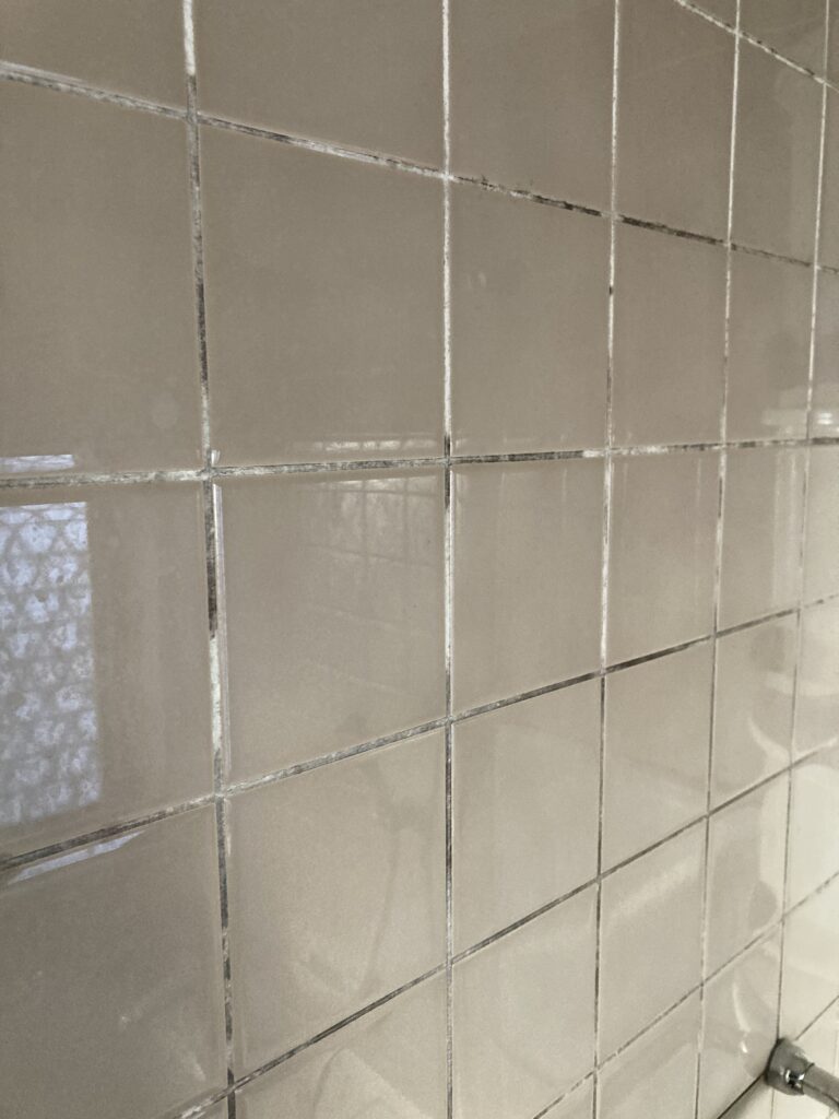 浴室のカビが再発する本当の理由｜八街市・成田市のハウスクリーニングすぎやま美工