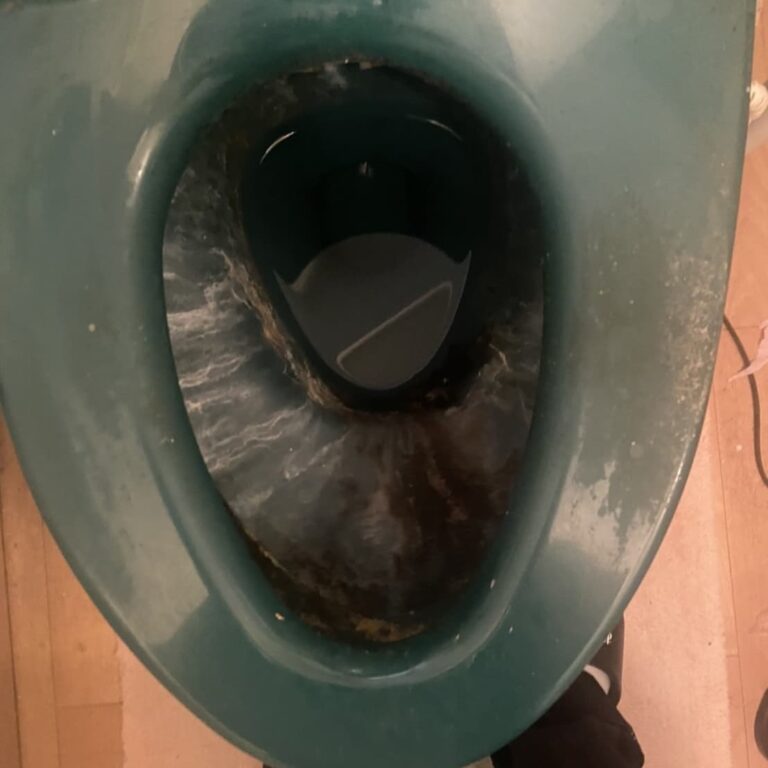 【施工事例・匝瑳市】長年の汚れが蘇った｜TOTO製ウォシュレットトイレのハウスクリーニング